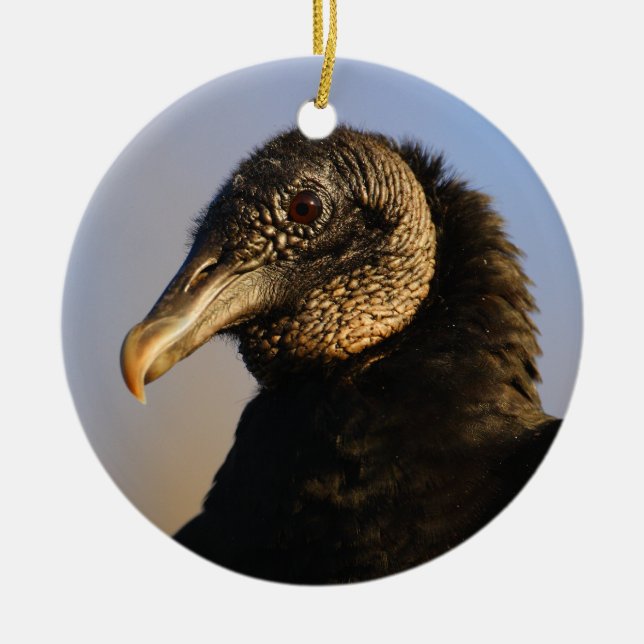 Ornement Rond En Céramique visage de vautour moine (Devant)