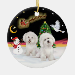 Ornement Rond En Céramique Vol de nuit - Deux Bichon Frise