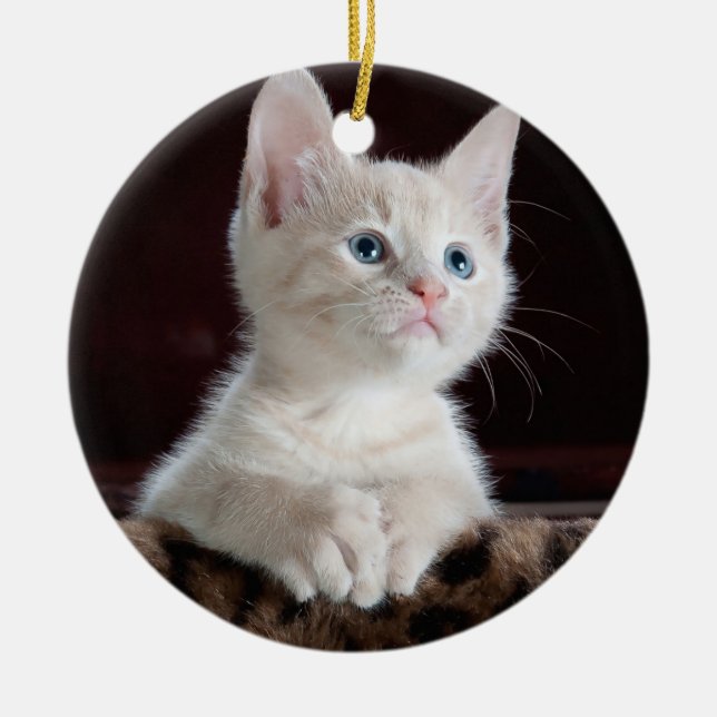 Ornement Rond En Céramique Votre coutume de photo (Devant)