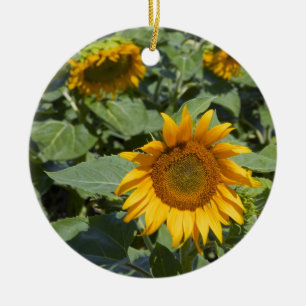 Ornement Rond En Céramique WA, comté de Kittitas, champ de tournesols