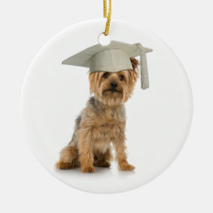 Ornement Rond En Céramique Yorkie Chien avec Casquette de diplôme