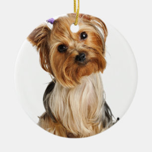 Ornement Rond En Céramique Yorkshire Terrier Puppy