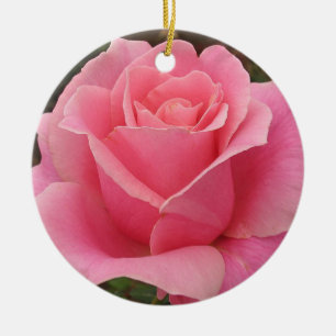 Ornement rose
