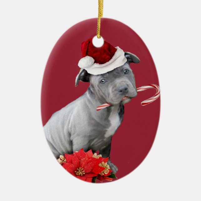 Ornement rouge de chiot de pitbull de Noël (Devant)