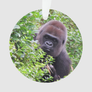 Ornement semi-transparent de gorille