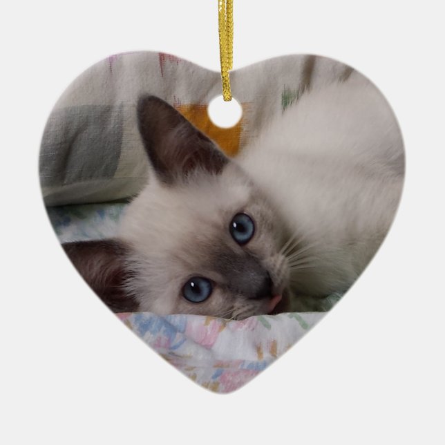 Ornement siamois de chaton (Devant)