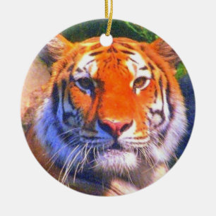 Ornement sibérien de tigre