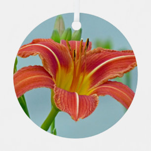 Ornement Tiger Daylily