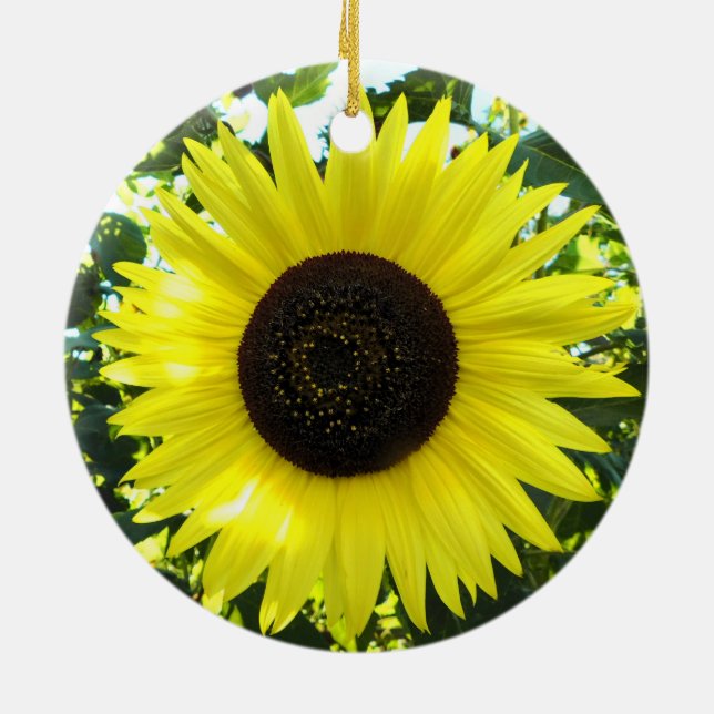 Ornement tournesol ensoleillé (Dos)