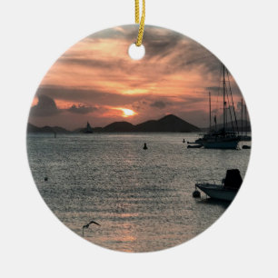 Ornement tropical de Noël