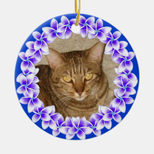 Ornement tropical de photo de Lei de Plumeria