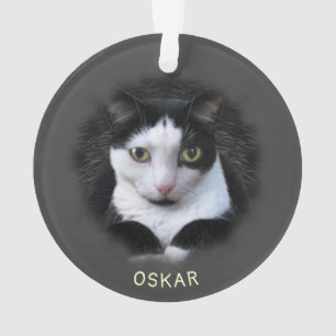 Ornement w. 2 de votre animal de compagnie Photos 