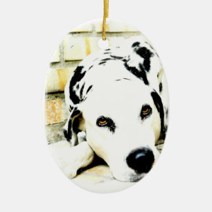 Ornements dalmatiens de sommeil
