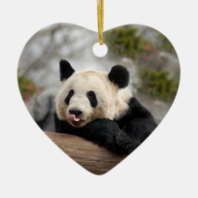 Ornements de Noël d'ours panda (Devant)