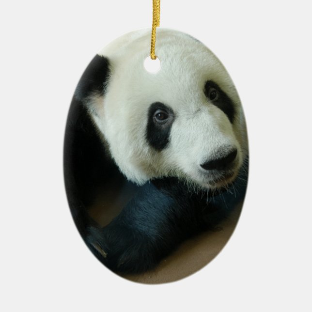 Ornements de Noël d'ours panda (Devant)