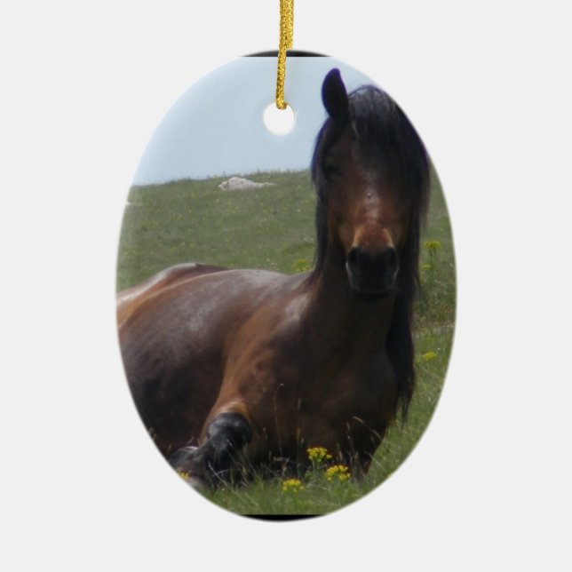 Ornements de repos de poney (Devant)