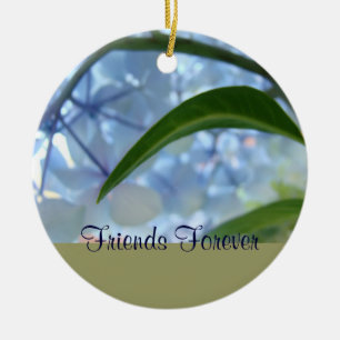 Ornements Friends Forever Bleu Floral Feuille Vert