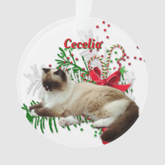 Ornements Noël personnalisé Acrylique Rond pour an