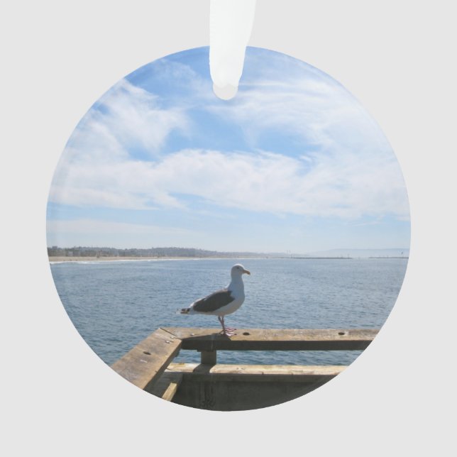 Ornements pittoresques d'acrylique de mouette (devant)