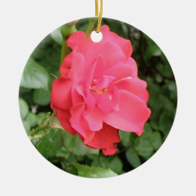 Ornements Roses sauvages (Devant)