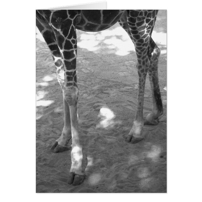 orteils tordus (Devant)