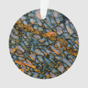 Os de dinosaure pétrifié