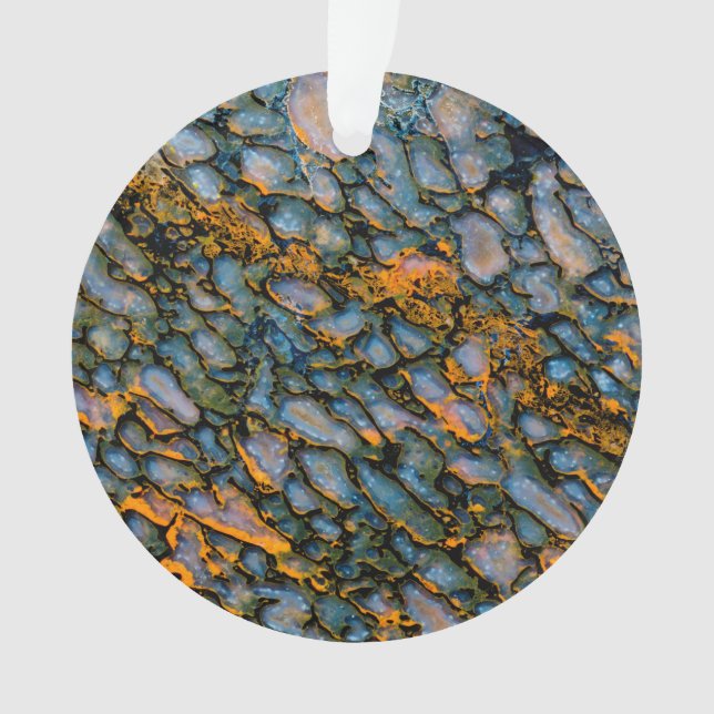 Os de dinosaure pétrifié (devant)