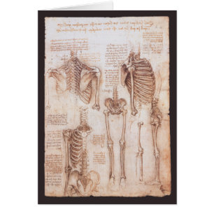 Os de squelette de Léonard de Vinci, anatomie huma