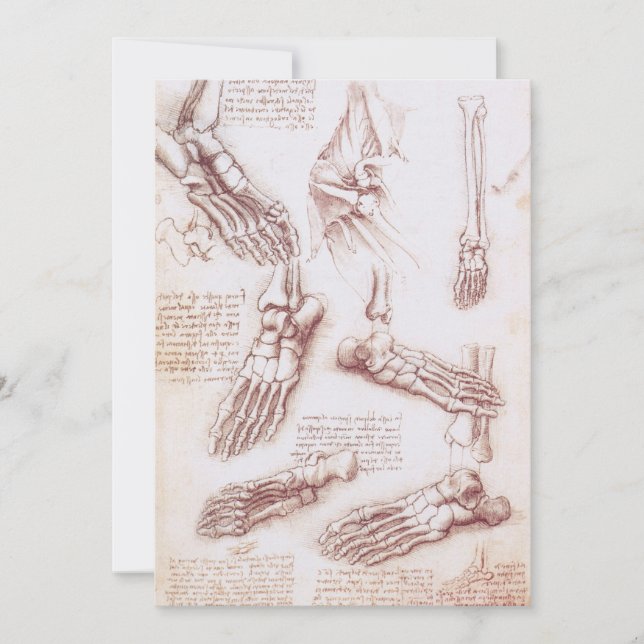 Os des du pied selon l'anatomie humaine de Léonard (Devant)
