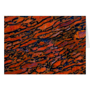 Os fossile de dinosaure pétrifié rouge