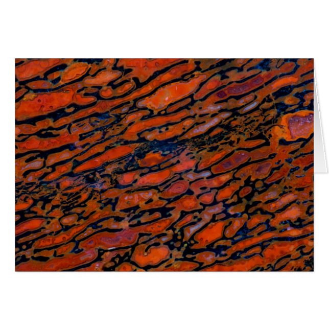 Os fossile de dinosaure pétrifié rouge (Devant horizontal)