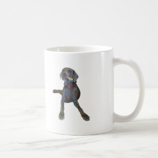 Os obtenus ? Tasse Weimaraner