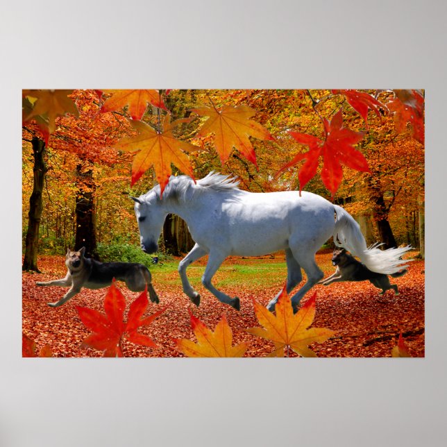 OSADA'S FALL FUN Poster (Devant)