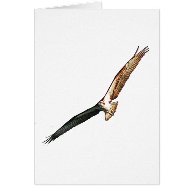 Osprey (Devant)