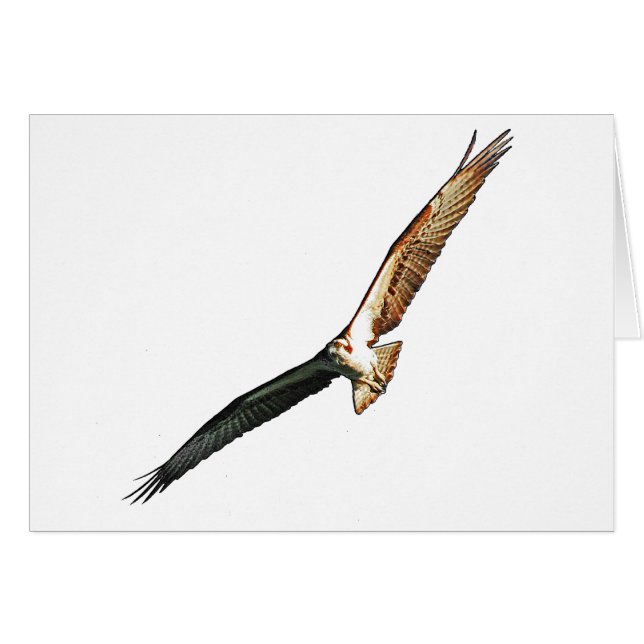 Osprey (Devant horizontal)