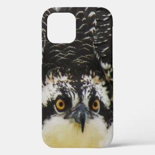 Osprey Up Close - iPhone 12 Coque dur