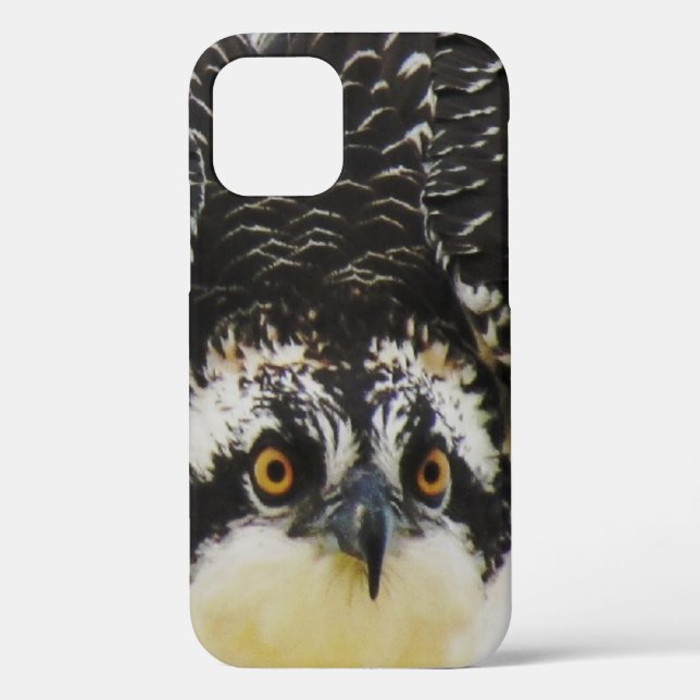 Osprey Up Close - iPhone 12 Coque dur (Verso)