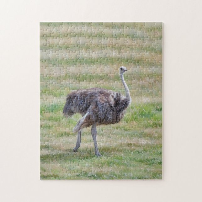 Ostrich Bird Walking in a Meadow Art Puzzle (Vertical)