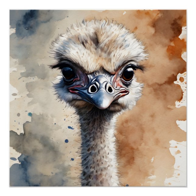 Ostrich no 1 Poster brillant (Devant)