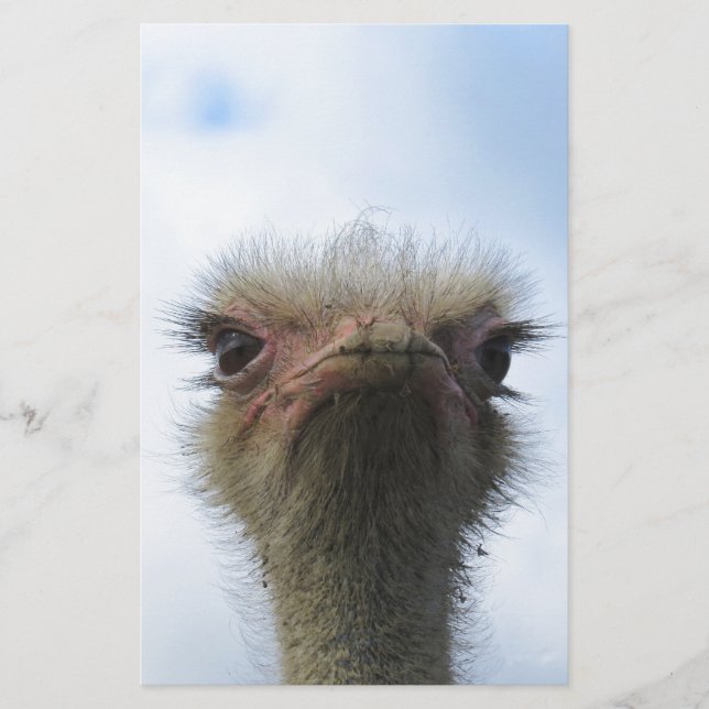 Ostrich Portrait (Devant)