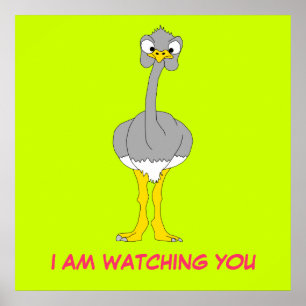 Ostrich Poster