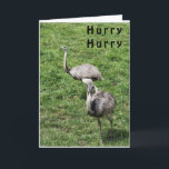 OSTRICHES DIT HEUREUX **AVRIL ANNIVERSAIRE** CARTE<br><div class="desc">JE FAIS DAVANTAGE AUJOURD'HUI,  MAIS SI VOUS AIMEZ CELUI-CI ET IL DOIT DIRE UN AUTRE MOIS... .PRENEZ UN MOMENT ET CHANGEZ-LE ET MERCI TELLEMENT POUR VOUS ARRÊTER PAR L'UN DE MES NEUF MAGASINS ICI À ZAZZLE. AVEZ UNE "GRANDE JOURNÉE"</div>