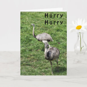OSTRICHES DIT HEUREUX **AVRIL ANNIVERSAIRE** CARTE