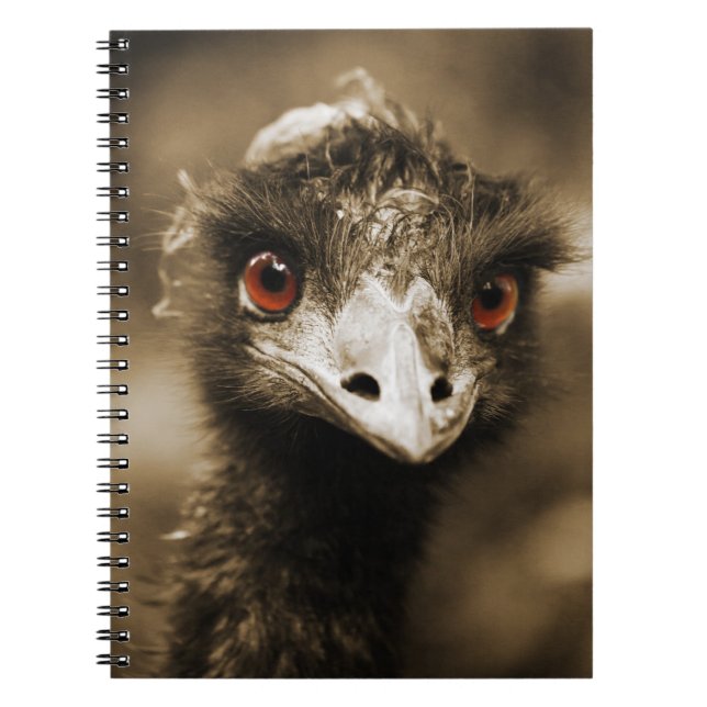Ostriches Look carnet (Devant)