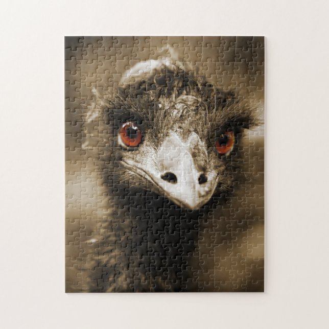 Ostriches Look puzzle photo (Vertical)