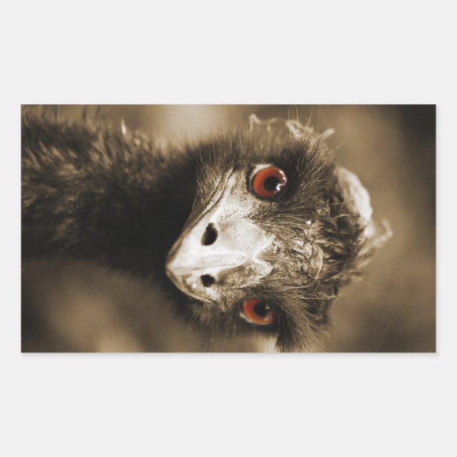 Ostriches Look stickers (Devant)