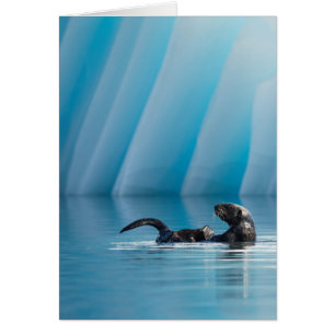 Otter de mer joueuse