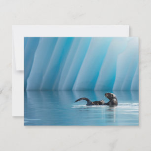 Otter de mer joueuse