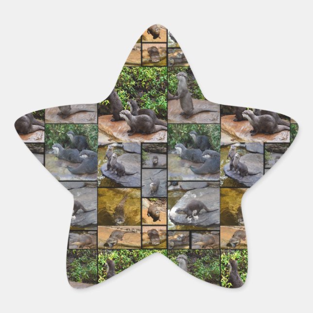 Otter Photo Collage Stickers Star. (Devant)