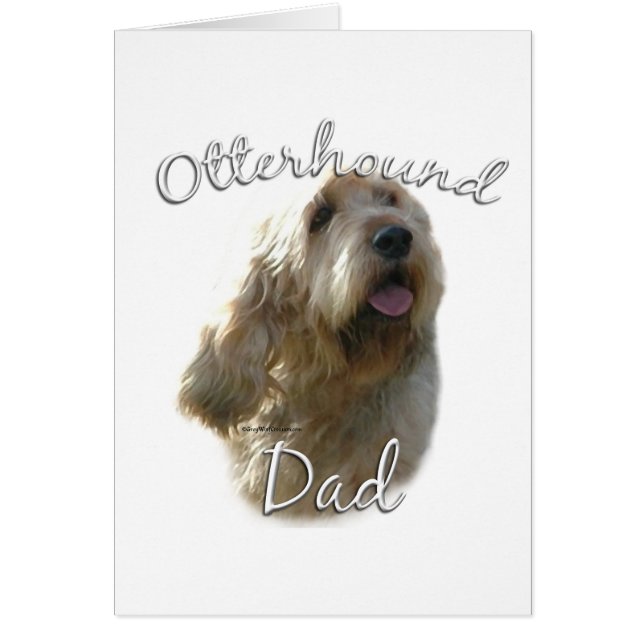 Otterhound Papa 2 (Devant)
